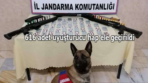 Operasyona özel eğitimli narkotik köpekleri de katıldı!.