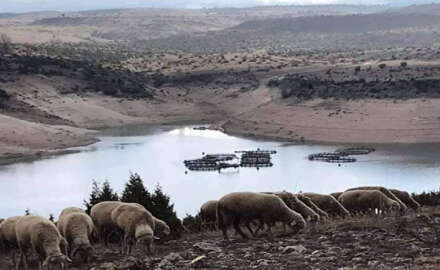  Çavdarhisar barajında su bitti bitecek